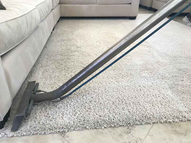 Area Rug Carpet Cleaning